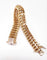 Bracelet Bracelet or jaune maille américaine 58 Facettes Bra.US.Dino-1331