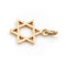 Pendentif Pendentif Etoile de David Or jaune 58 Facettes 1783195CN