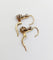 Boucles d'oreilles Dormeuses antique or 18k diamants serti étoilés (circa 1920) 58 Facettes A06529