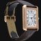 Montre Cartier Montre Tank Solo Xl 58 Facettes MT43617