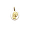 Pendentif Médaille de la Vierge Marie nacre et or jaune 58 Facettes 240