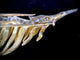Pendentif Broche et pendentif ornée de 2 carats de brillants 58 Facettes