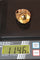 Bague 58 Bague Cocktail Citrine Or Jaune 58 Facettes 535
