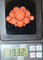 Broche Broche corail Napoléon III 58 Facettes 436