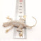 Broche Broche salamandre Or rose Diamants 6.94 ct 58 Facettes