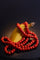 Collier Échos de l'Éveil : Collier de Corail Sanglant 58 Facettes 19262-0321