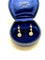 Boucles d'oreilles Bouucles d'oreilles dormeuses platine diamants 58 Facettes M8616