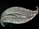 Bague 50 Bague platine en forme de feuille ornée de 4,65 carats 58 Facettes