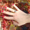 Bague Bague bouquet de diamants 58 Facettes 1