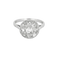 Bague 53 Bague fleur Belle Époque en or blanc 18K et diamants taille rose 58 Facettes 58FC123