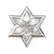 Pendentif Pendentif étoile en or blanc 750 serti de diamants 58 Facettes 25733