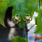 Boucles d'oreilles Elizabeth Locke - Boucles d’oreilles trèfle en or 18k et diamants 58 Facettes