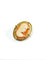 Broche Broche camée sur coquillage en or jaune 58 Facettes