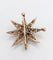 Pendentif Pendentif broche étoile ancienne en or 14K et diamants taille ancienne 58 Facettes A06490