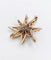 Pendentif Pendentif broche étoile ancienne en or 14K et diamants taille ancienne 58 Facettes A06490