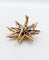 Pendentif Pendentif broche étoile ancienne en or 14K et diamants taille ancienne 58 Facettes A06490