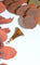 Pendentif Pendentif ancien sceau en or rose et agate 58 Facettes