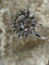 Bague 51 Bague marguerite de fiançailles en or 18 ct et diamants 58 Facettes AB15
