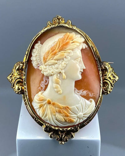 Broche Broche camée coquille en or jaune 18 carats vers 1850 58 Facettes AB302