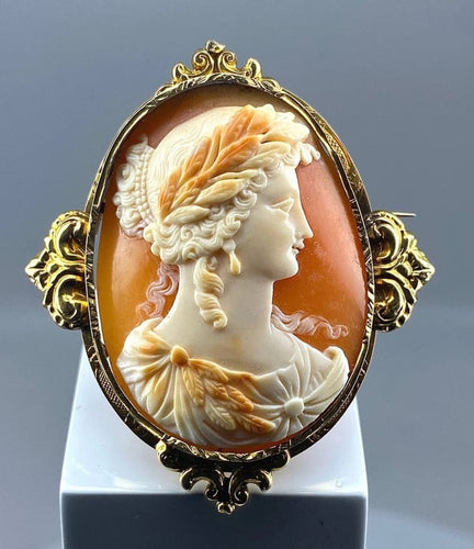 Broche Broche camée coquille en or jaune 18 carats vers 1850 58 Facettes AB302