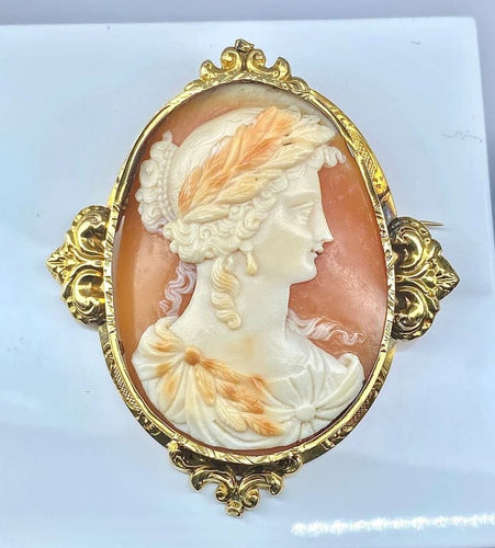 Broche Broche camée coquille en or jaune 18 carats vers 1850 58 Facettes AB302