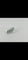 Gemstone Aigue-marine naturelle ovale 4 ct 58 Facettes 400