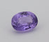 Gemstone Saphir violet non chauffé de Sri Lanka - Pierre 1,26 ct 58 Facettes 441