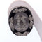 Boucles d'oreilles Boucles d'oreilles vintage en platine avec onyx, cristal de roche et diamants 58 Facettes OR190