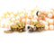 Collier Collier vintage - Collier de perles naturelles avec fermoir en or jaune 18 carats 58 Facettes