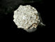 Bague 59.5 Bague en platine sertie de diamants 1,25 ct 58 Facettes
