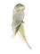 Broche Broche perroquet en or jaune 18 carats sertie de diamants 58 Facettes