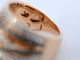 Bague 54 Bague en or rose 18 carats sertie de diamants blancs et noirs 58 Facettes 2179