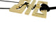 Collier Cartier Le Baiser du Dragon - Collier pendentif en or jaune 18 carats et rubis 58 Facettes