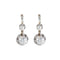 Boucles d'oreilles Boucles d'oreilles dormeuses en or blanc 750 serties de diamants 58 Facettes 220367