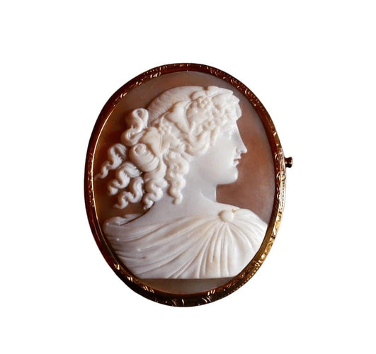 Broche Broche camée sur coquillage en or jaune 18 carats 58 Facettes