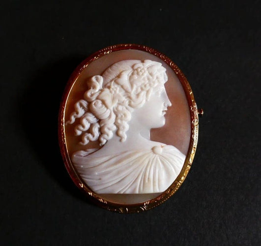 Broche Broche camée sur coquillage en or jaune 18 carats 58 Facettes