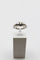 Bague 54 Solitaire - Bague en or blanc 750 ornée d’un diamant 0,46 ct 58 Facettes 240216