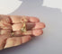 Pendentif Pendentif sceau - Citrine chiffrée MR en or rose 18 carats 58 Facettes