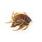 Broche Broche poisson arc-en-ciel en or jaune 18 carats, saphirs et diamants 58 Facettes