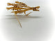 Broche Broche bouquet de fleurs en or jaune 18k et diamants 58 Facettes M8759