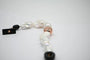 Bracelet Bracelet de perles baroques avec fermoir en or rose 18 carats 58 Facettes 341953/A0E8D2