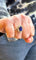 Bague 55 Bague fleur en or blanc, saphir de Ceylan non chauffé et diamants 58 Facettes