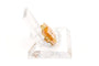 Broche Broche Art Nouveau en or jaune 18 carats sertie d’une perle 58 Facettes B653