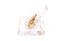 Broche Broche Art Nouveau en or jaune 18 carats sertie d’une perle 58 Facettes B653