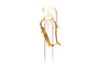 Boucles d'oreilles Napoléon III - Boucles d'oreilles en or jaune, perles et saphirs 58 Facettes 17526