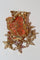 Collier Collier pendentif Art nouveau en or jaune 18k, corail et diamants 58 Facettes 536.250