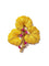 Broche Buccellati - Broche feuille en or jaune 18 carats et rubis 58 Facettes