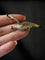 Broche Broche « Jonathan Livingston » en or jaune 585, diamants, émail et rubis 58 Facettes