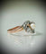 Bague 52 Bague perle et diamants en or jaune 18 carats 58 Facettes