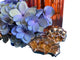 Boucles d'oreilles Paire de broches clips en or jaune, citrines et diamants 58 Facettes 175304